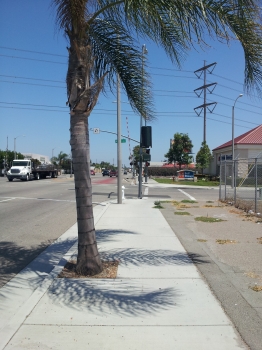 Urban Cycling in Santa Ana, CA