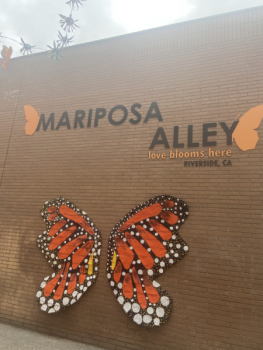 Mariposa Alley